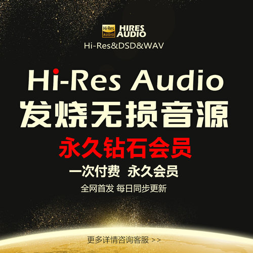 10W+发烧友推荐无损音源