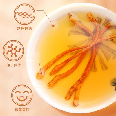 金公和堂虫草花虫草菌北蛹虫草品菇干优质煲汤新鲜干 货官JRU方正