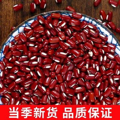 正宗赤小豆云南薏新货长BSI粒红小豆米芡谷杂粮八宝实粥豆五沙馅