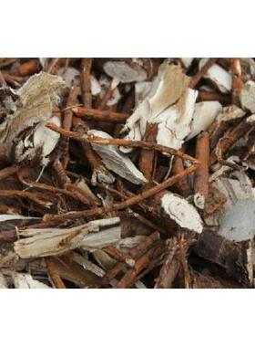 野生桑根桑根桑根白皮根桑桑根桑叶叶NDN0根50g