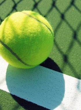 Yellow Tennis Balls Sports Tournament Outdoor Fun Cricket