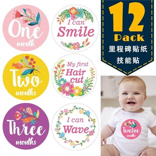 12 Month Sticker Baby Photography Milestone Memorial Monthl