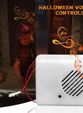 Talking PIR Motion Sensor Recordable Scream Speaker Player