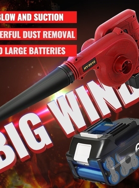 Cordless Electric Air Blower Handheld Blowing with 8000mAh L