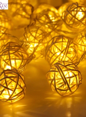 FENGRISE Wedding Decoration Fairy String Light Rustic Vinta