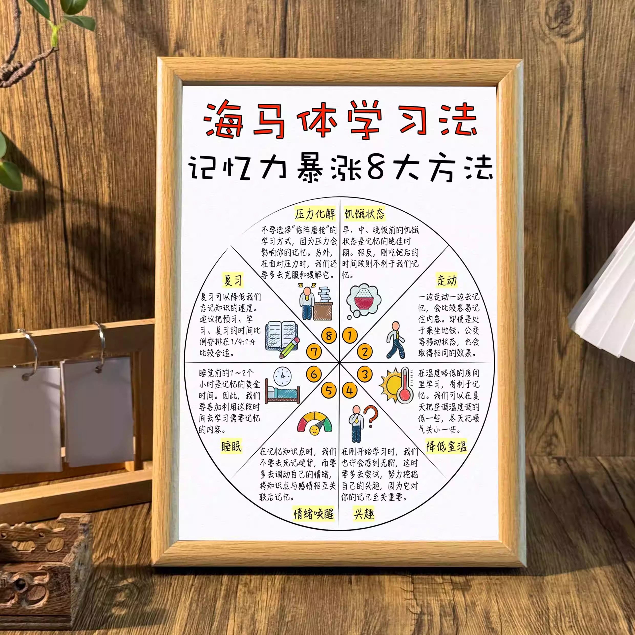海马体背书学习记忆力增强8大方法相框摆台个人成长简约桌面摆件