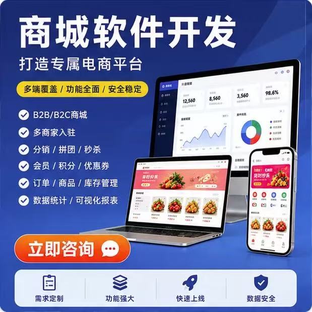 商城APP电商购物小程序开发定制海外多语言系统分销团购配送抢购