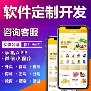 软件开发app定制系统小程序物联网对接应用设计平台企业管理系统