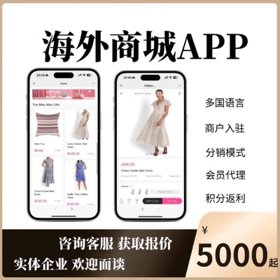 海外商城APP小程序开发多国语言跨境电商模式团购分销系统开发