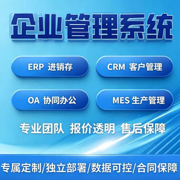 企业管理系统ERP定制进销存财务人事OA审批一体化平台电子开发