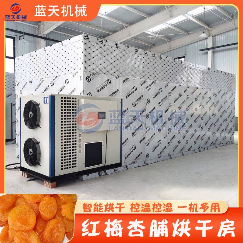 大型红梅杏脯烘干机 无核杏肉吊干杏烘干房 红杏干黄金杏子烘烤房
