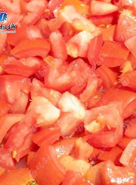 西红RWR柿丁果店切丁机 尺寸可调芒切割 餐饮食堂凤梨切机