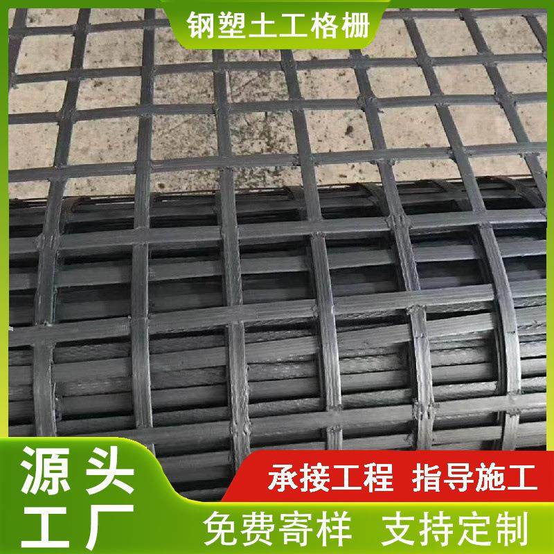 家山东生产厂GSZ塑复钢合土WWQ工格栅 路基挡土墙塑加筋钢土工格