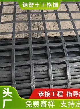 家山东生产厂GSZ塑复钢合土WWQ工格栅 路基挡土墙塑加筋钢土工格