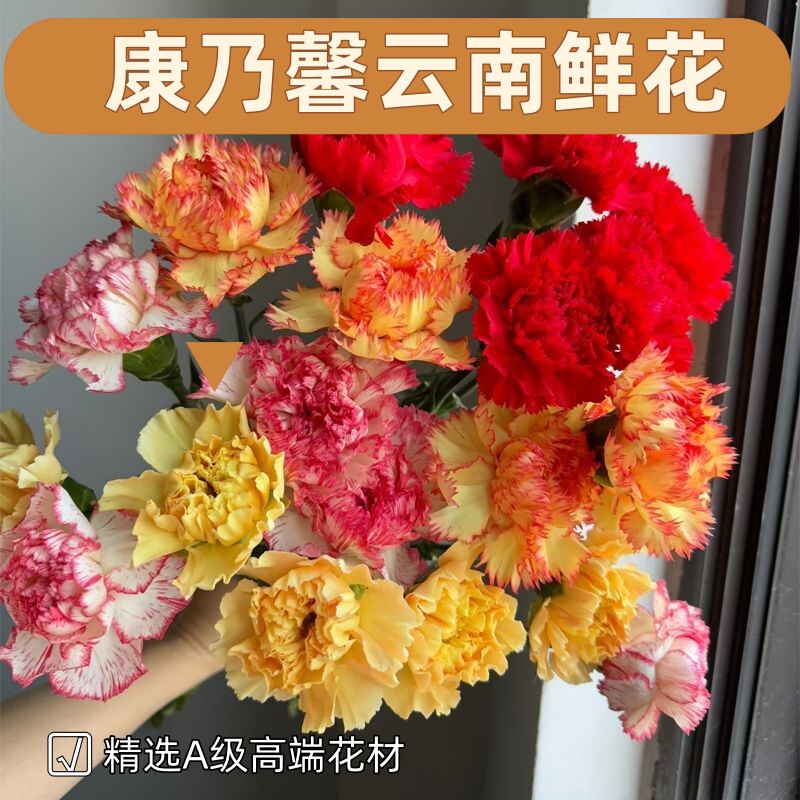 母亲节康乃馨玫瑰香水百合向日葵混搭鲜花束速递同城云南基地直发