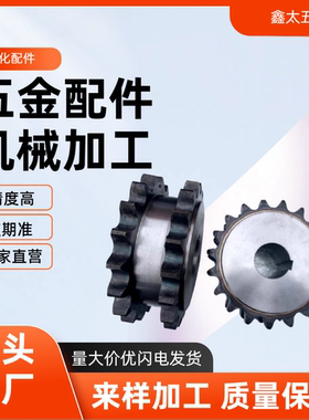 链轮 双列型 -40B系列08A SP50SD12/13/14/15/16/17/18/19/20/21