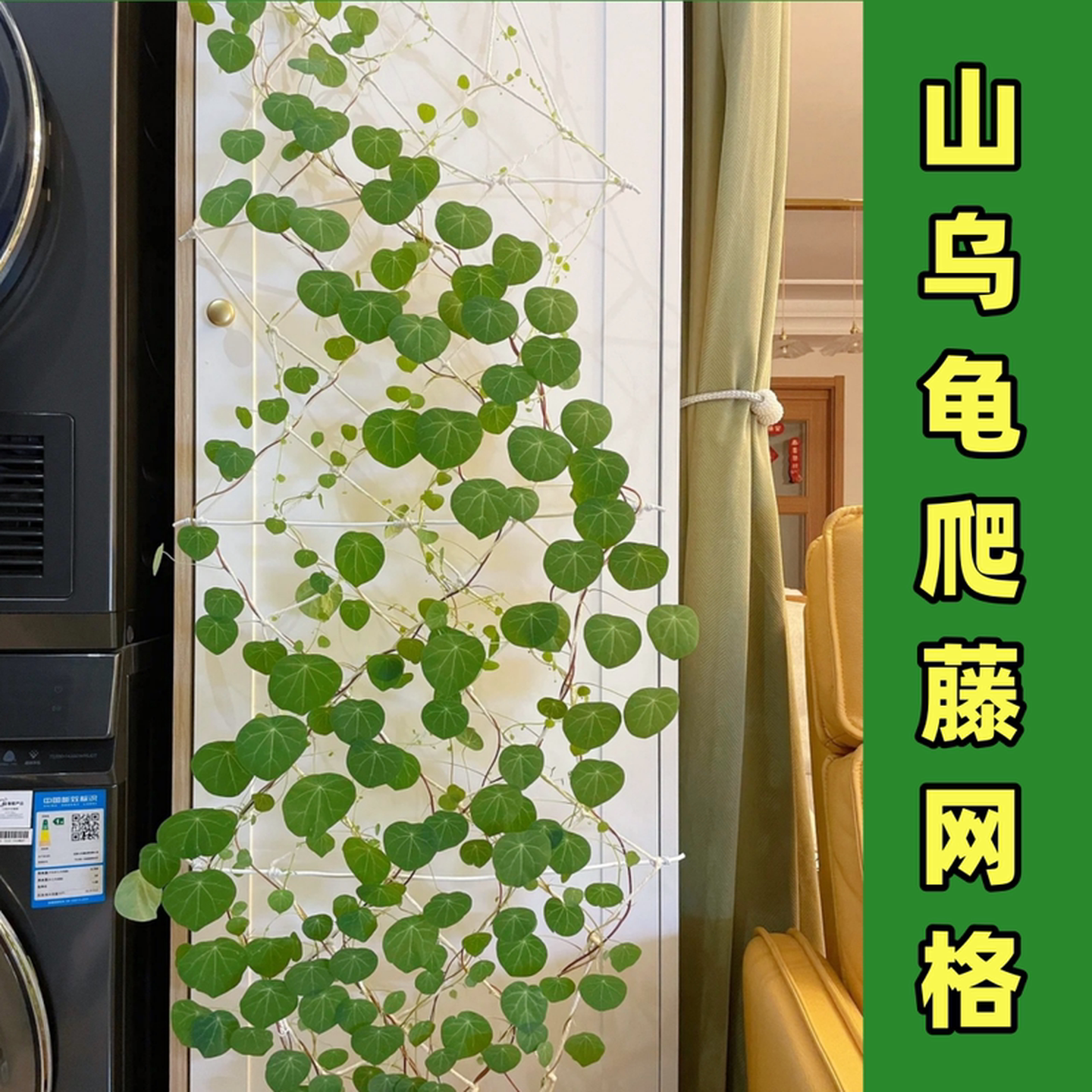 绳子爬藤山乌龟爬藤网防麻绳软网园艺花卉绿植铁线莲藤蔓挂墙网格