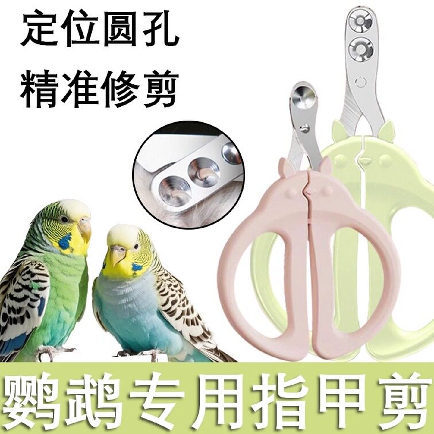 鹦鹉专用指甲剪鸟类指甲刀虎皮牡丹修指甲套装蜜袋鼯兔子指甲钳子
