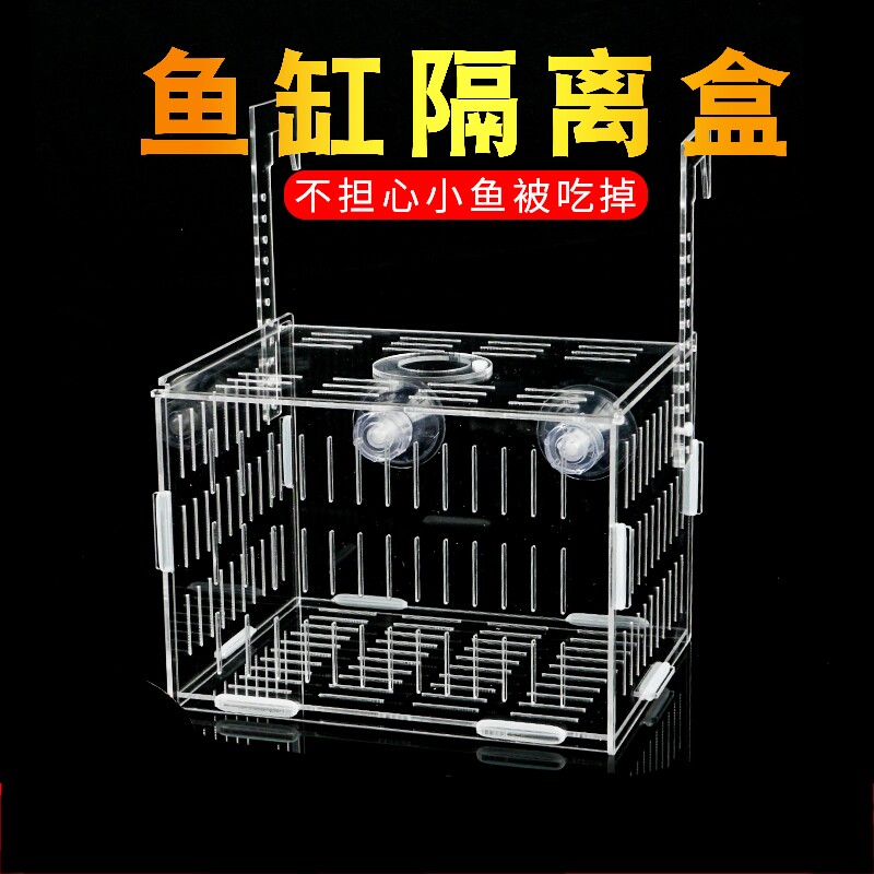 鱼缸隔离盒孔雀鱼繁殖盒乌龟苗小鱼苗幼鱼产房亚克力孵鱼缸壁挂水