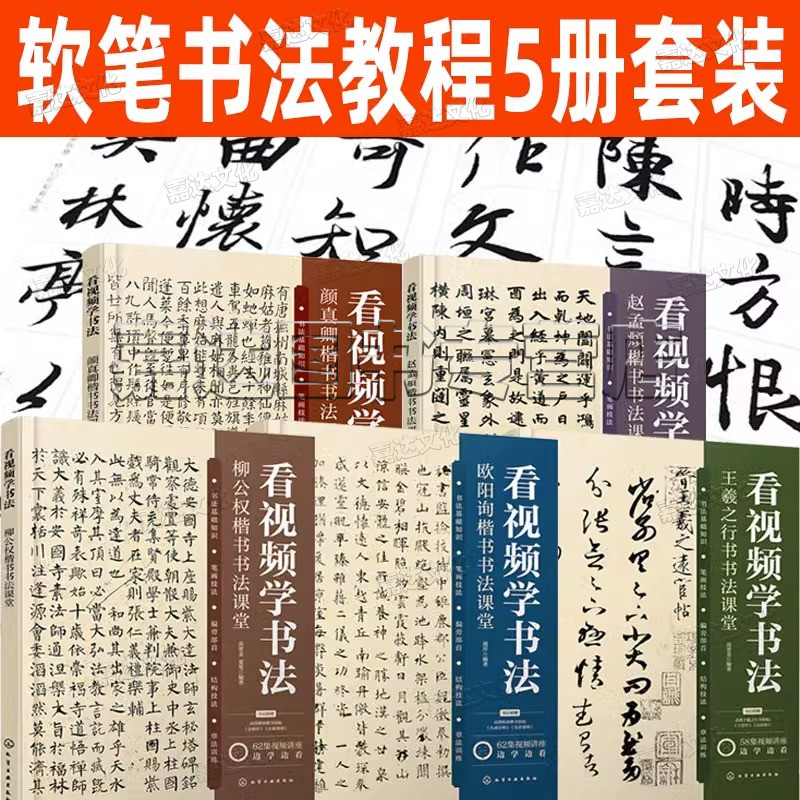 软笔书法教程5册套装 看视频学书法 王羲之行书书法课堂 柳公权 欧阳询 颜真卿 赵孟頫楷书 毛笔字帖 临摹范本 有声书教学书法练字