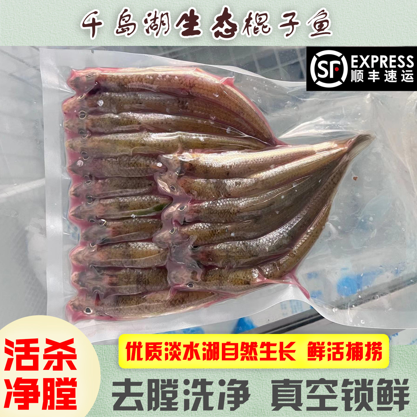 千岛湖正宗生态棍子鱼钉子鱼小杂鱼活鱼现杀顺丰包邮新鲜1斤/包