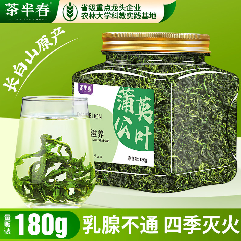 长白山蒲公英茶 蒲公英叶根茶婆婆丁炒制泡水喝养生花草茶180g