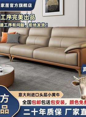 价TXP2森华派客简约轻奢现代头层直排小户型意式直销