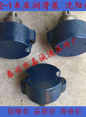 车床润滑泵R12-1沈阳机床CA61406150叶片泵车床液压系统配件