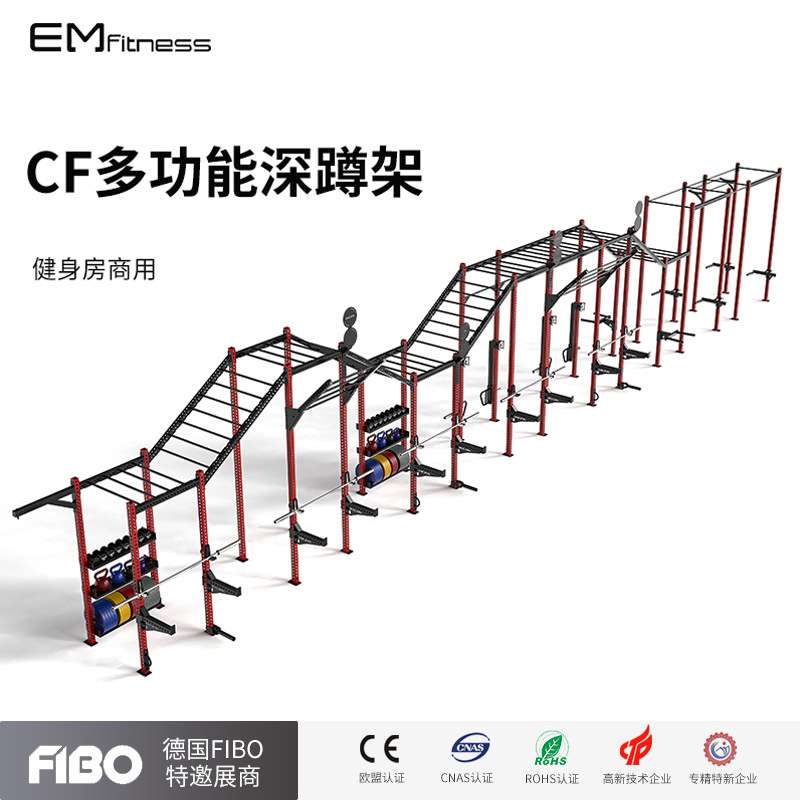 CF训练架30柱龙门架Crossfit综合体能力量深蹲攀爬多功能拉伸器械