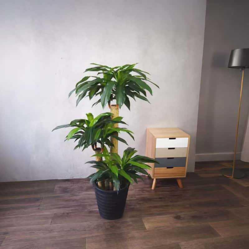 仿真北欧落地植物人造花卉巴西木三杆客厅装饰盆栽家居花束绿植