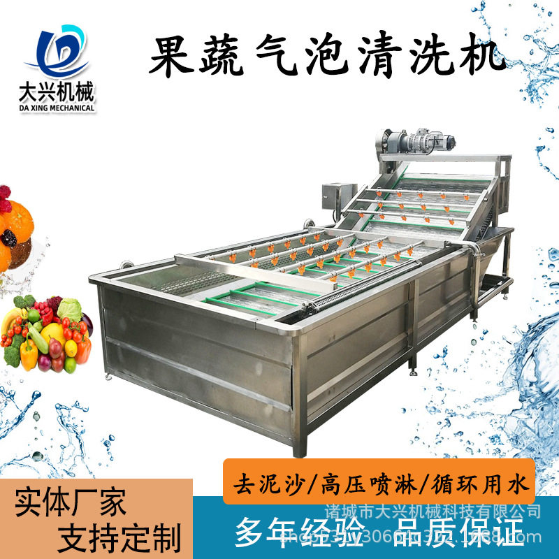全自动果蔬气泡清洗机 对虾地龙清洗机 西兰花去农残气泡消毒机