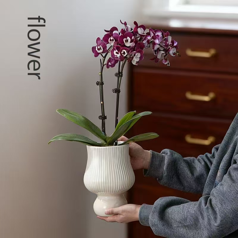 轻奢高档家居装饰蝴蝶兰郁金香仿真花假花艺摆件花束花盆花瓶