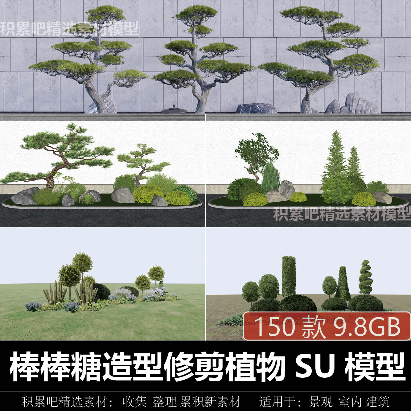 园林景观庭院小花园造型松树罗汉松榕树多头棒棒糖盆栽植物SU模型图片