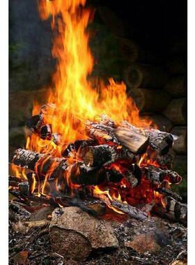 2016 New 5D DIY Diamond Painting Warm Firewood Combustion E