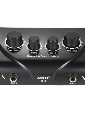 Portable Karaoke Sound Audio Stereo Echo Mixer Dual Micropho