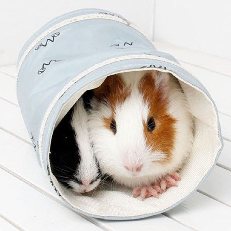 Small Guinea Pig Hamster Toy Tubes Tunnels Spring Hamster