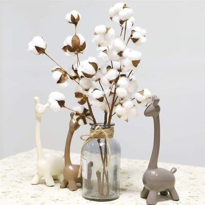 Decorative Dried Cotton Flowers Gypsophila White Home Orname