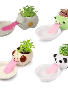 Cute Polar Bear Blue Bear Monkey Ceramic Flower Pot mall