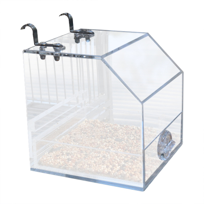 Suspending Bird Seed Feeder Automatic Foraging Feeding