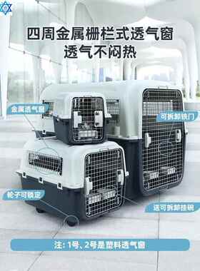 Pet airways box dog check box car out portable small dog