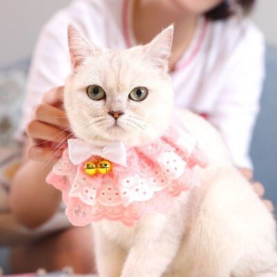 Pet Cats Cute Neckerchief Collar Scarf Dog Pet Bibs Bandana