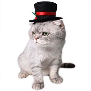 2018 Halloween Pet Costume Puppy Dog Cats Hat Party Dress