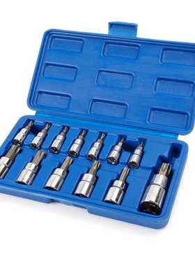 13PC Torx Bits Socket Set 1/4