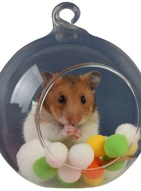 Glass Sphere Hanging Hamster Hammock for Small Animals Nest