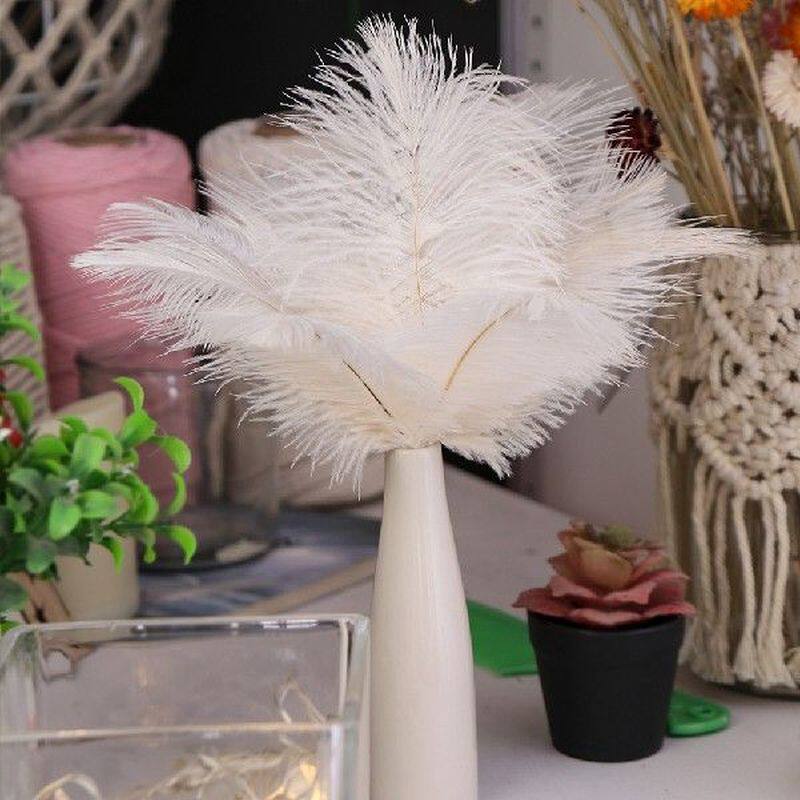 10pcs/lot natural white ostrich feathers wedding home