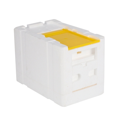 Bee Hive Beekeeping King Box Pollination Box Foam Frames Bee