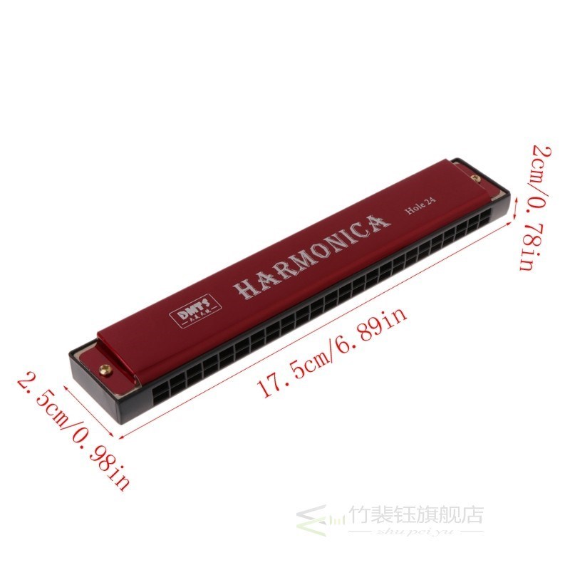 Professional 24 Hole Harmonica Key of C Mouth Metal Organ fo