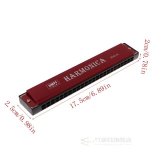 Professional 24 Hole Harmonica Key of C Mouth Metal Organ fo