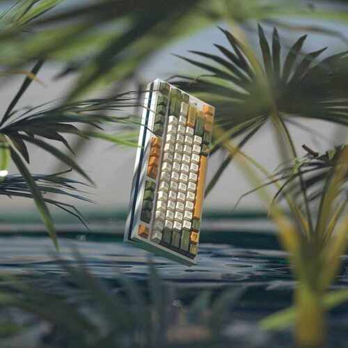 Glove X Domikey SA Avostar abs doubleshot Avocado keycap fo