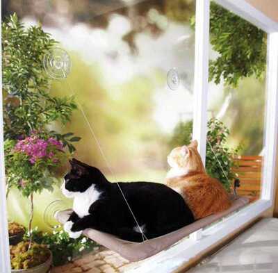Bearing Hanging-Beds Pet-Bed Pet-Cat-Hammock Window-Mount Su